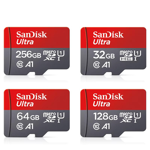 Scheda memoria sandisk 256 - di,