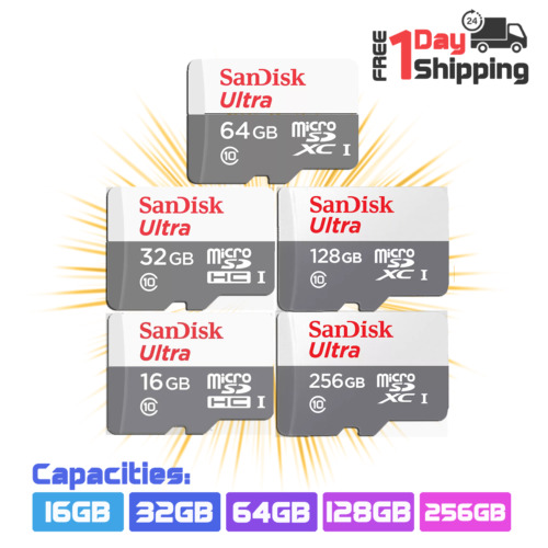 Lotto sandisk micro - sandisk, card