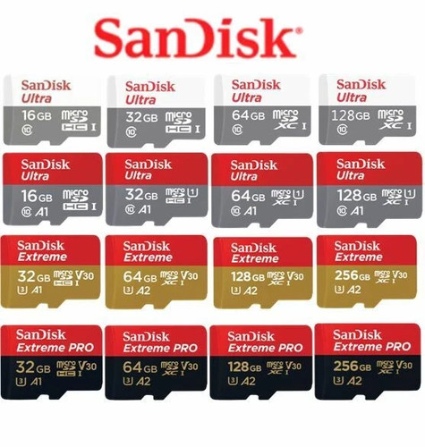 Scheda memoria sandisk - scheda, di