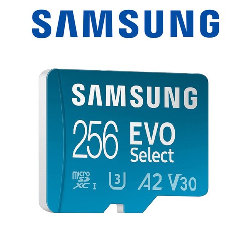 Scheda micro 256 evo - 256, gb