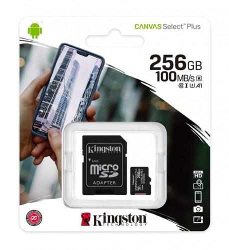 Sdcs2 256gb micro - micro, card